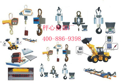 电子吊秤1-50吨电子吊秤吊磅厂家-【效果图,产品图,型号图,工程图】-中国